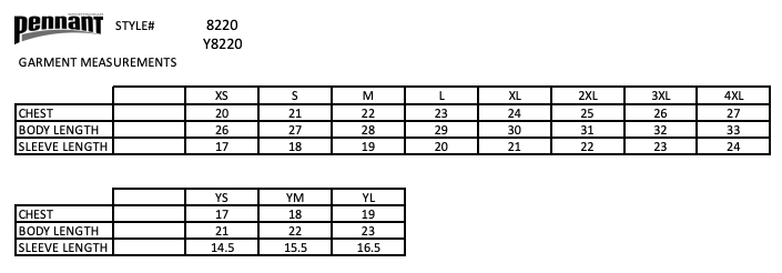 NY Express Softball Pennant Short Sleeve Hoodie