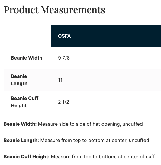 Sample Nike Team Beanie